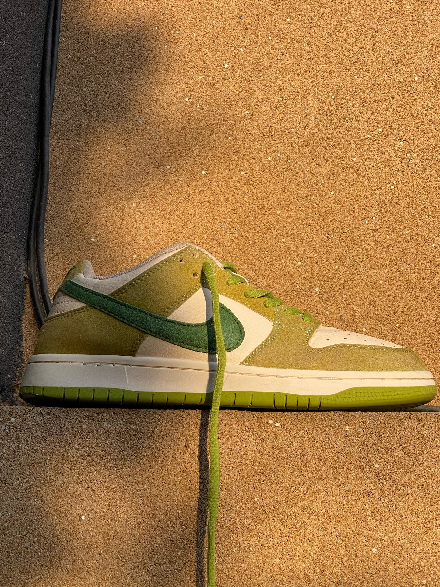 Nike Dunk Low Pro