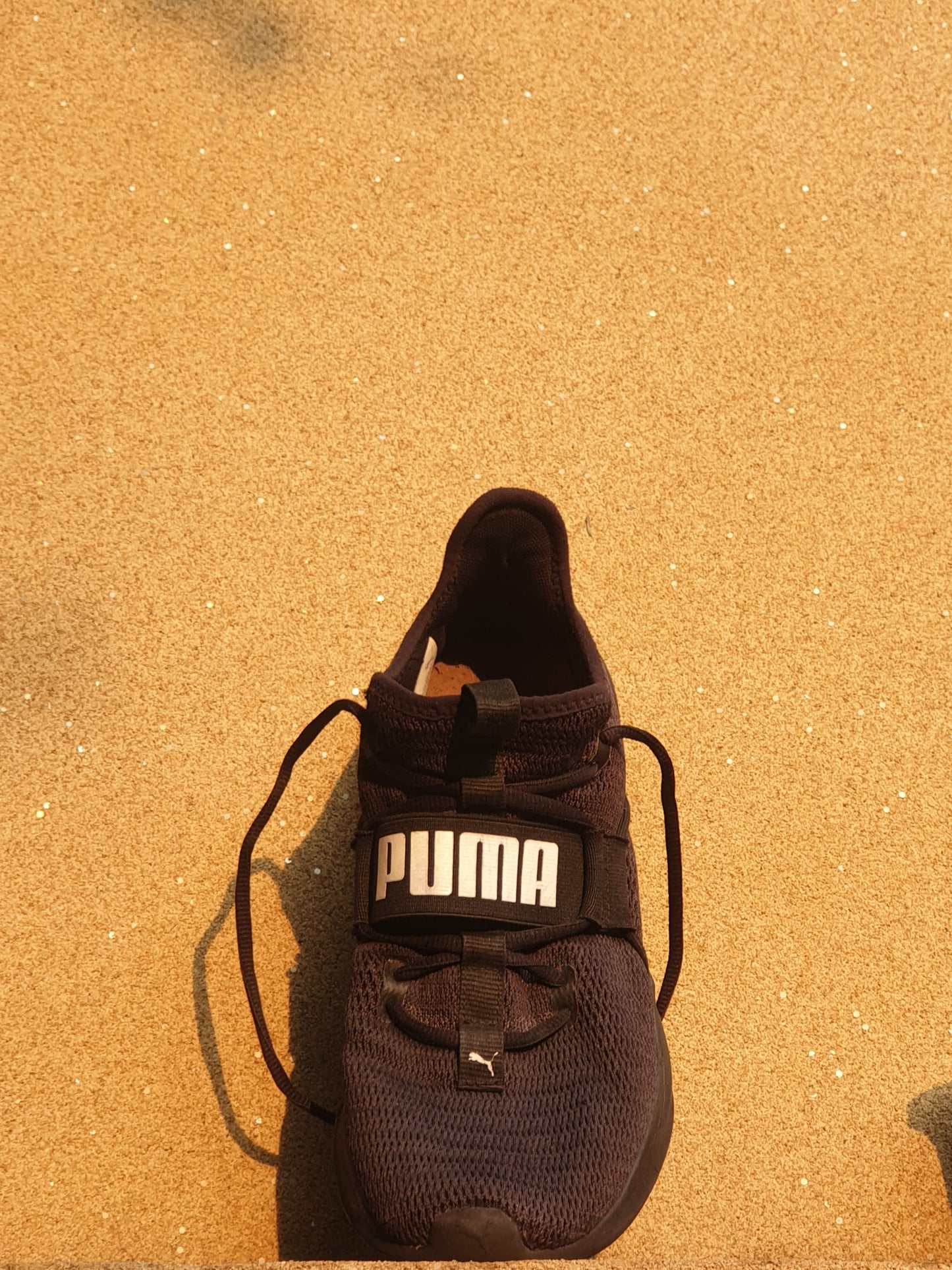 Presist Xt Puma