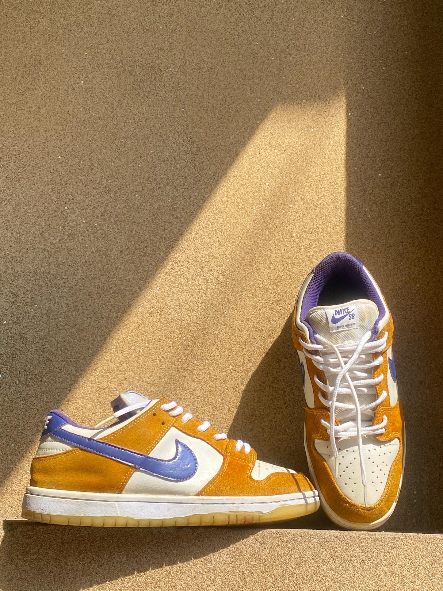 NIKE DUNK LOW PRO