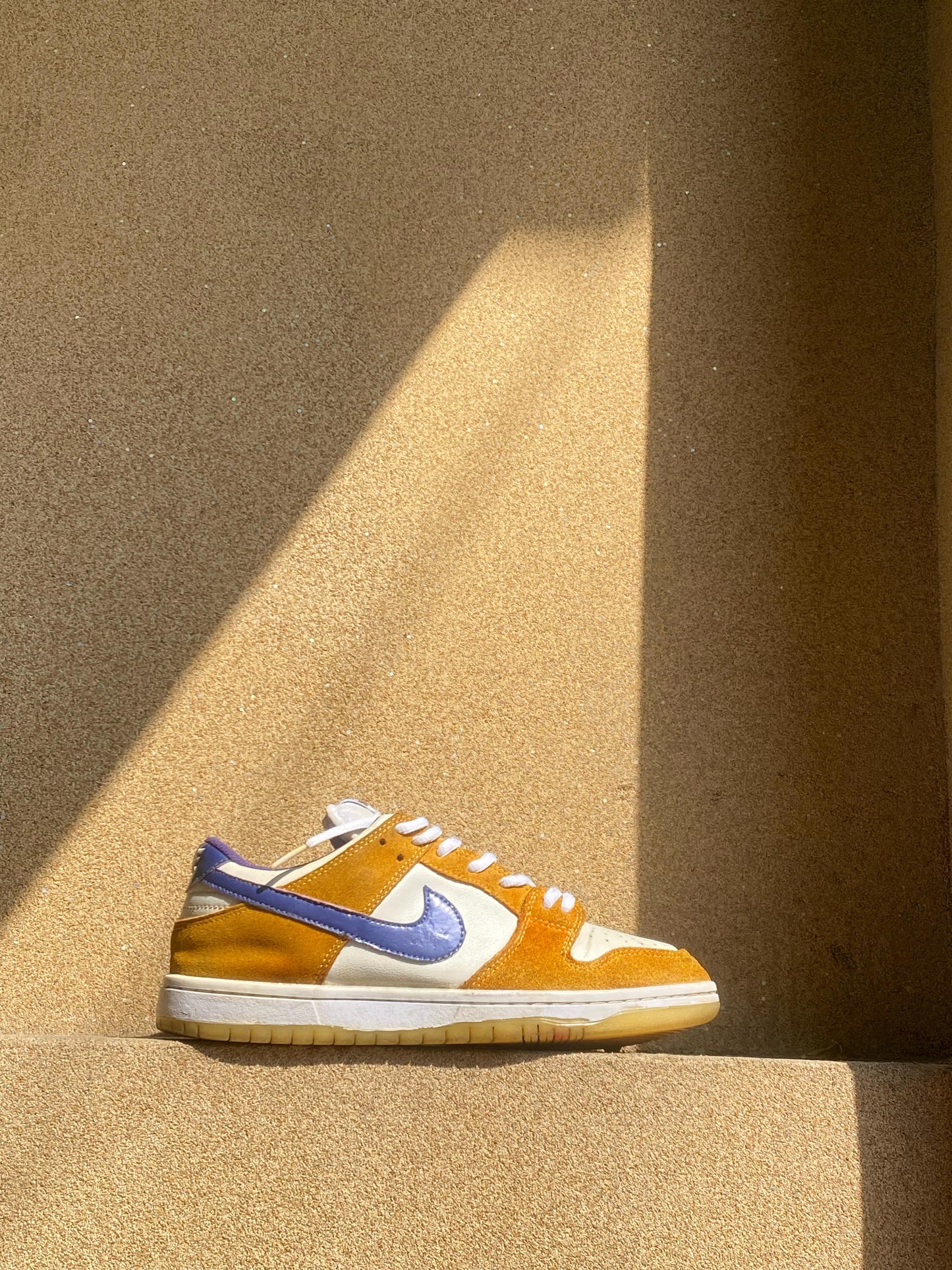 NIKE DUNK LOW PRO