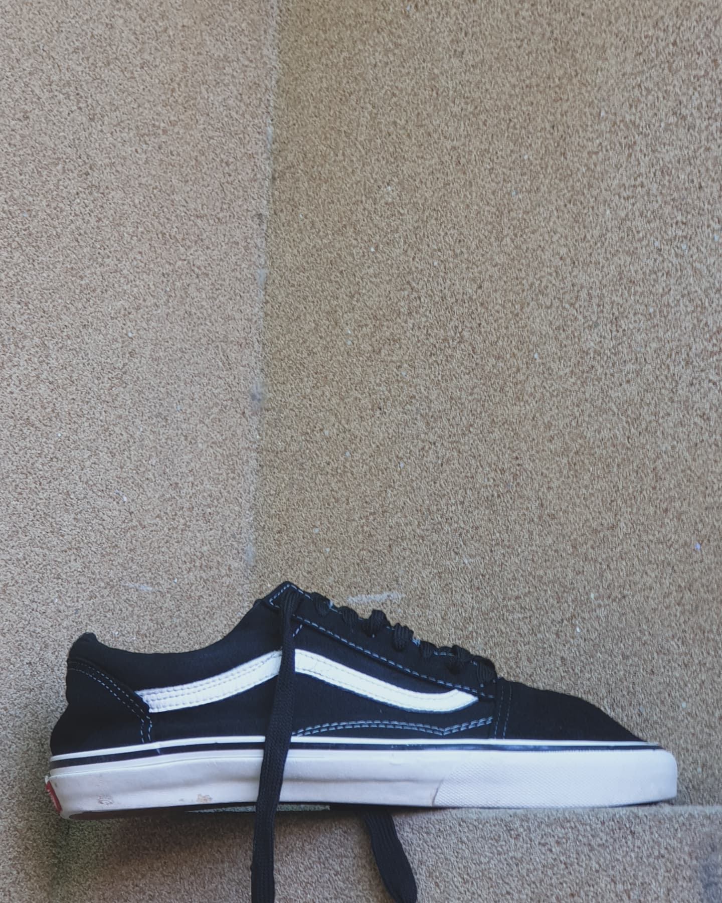 VANS OLD SKOOL (PK 9)