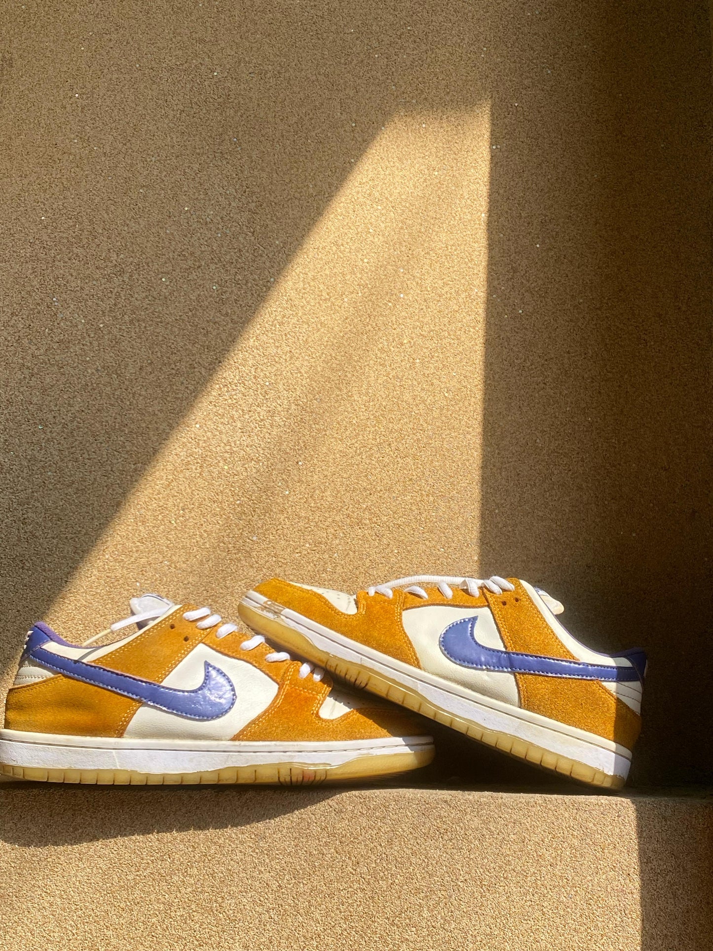 NIKE DUNK LOW PRO