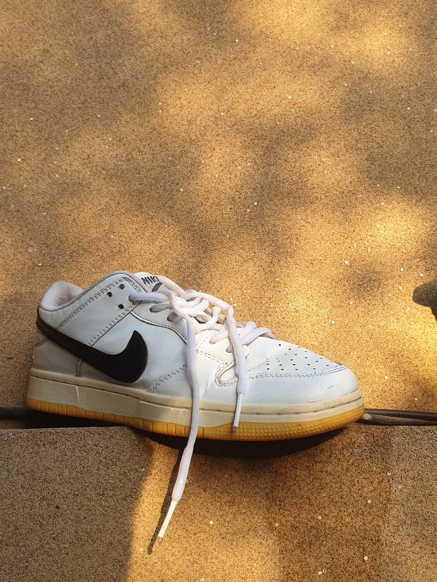 NIKE DUNK LOW PRO