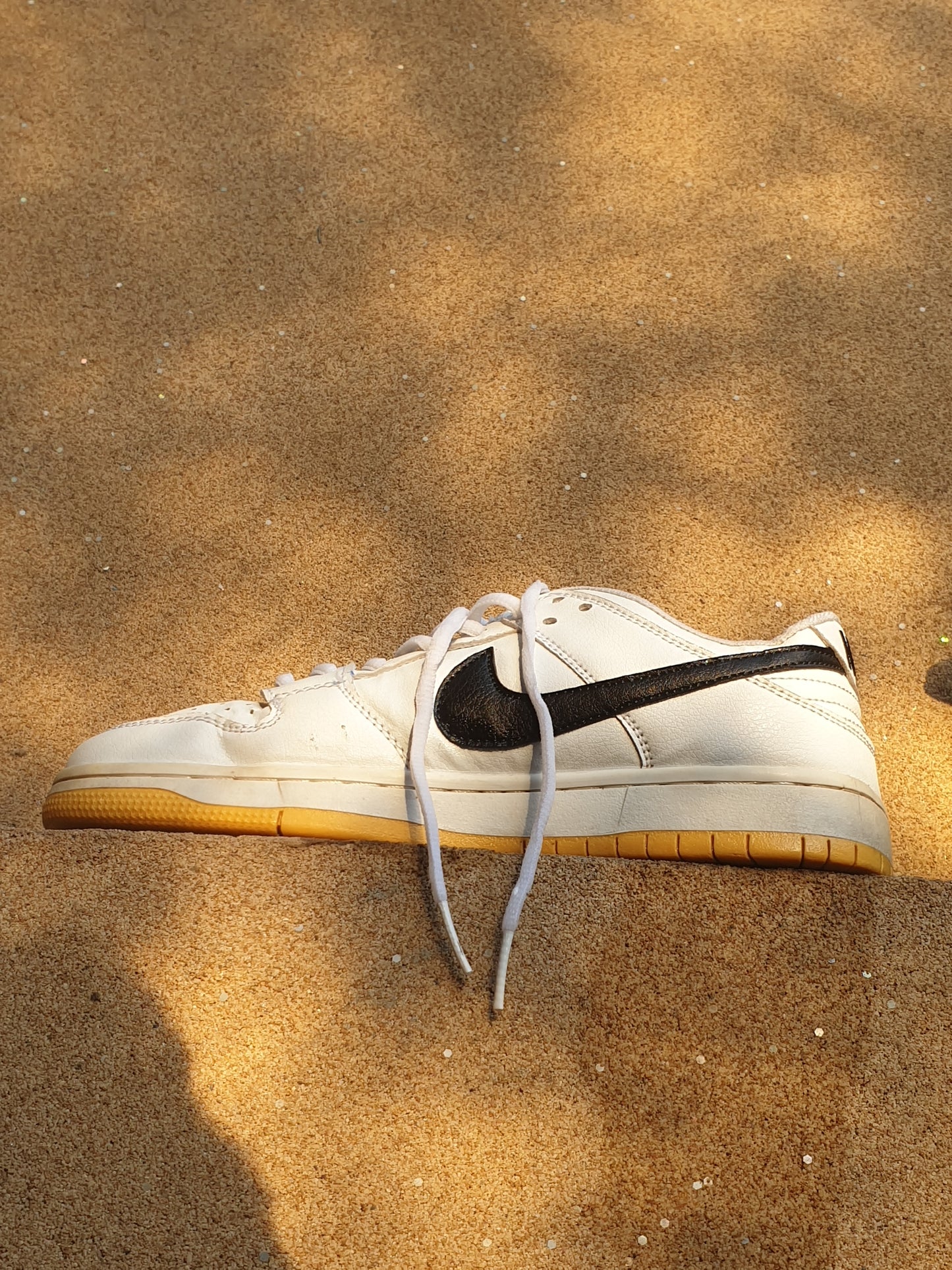 NIKE DUNK LOW PRO