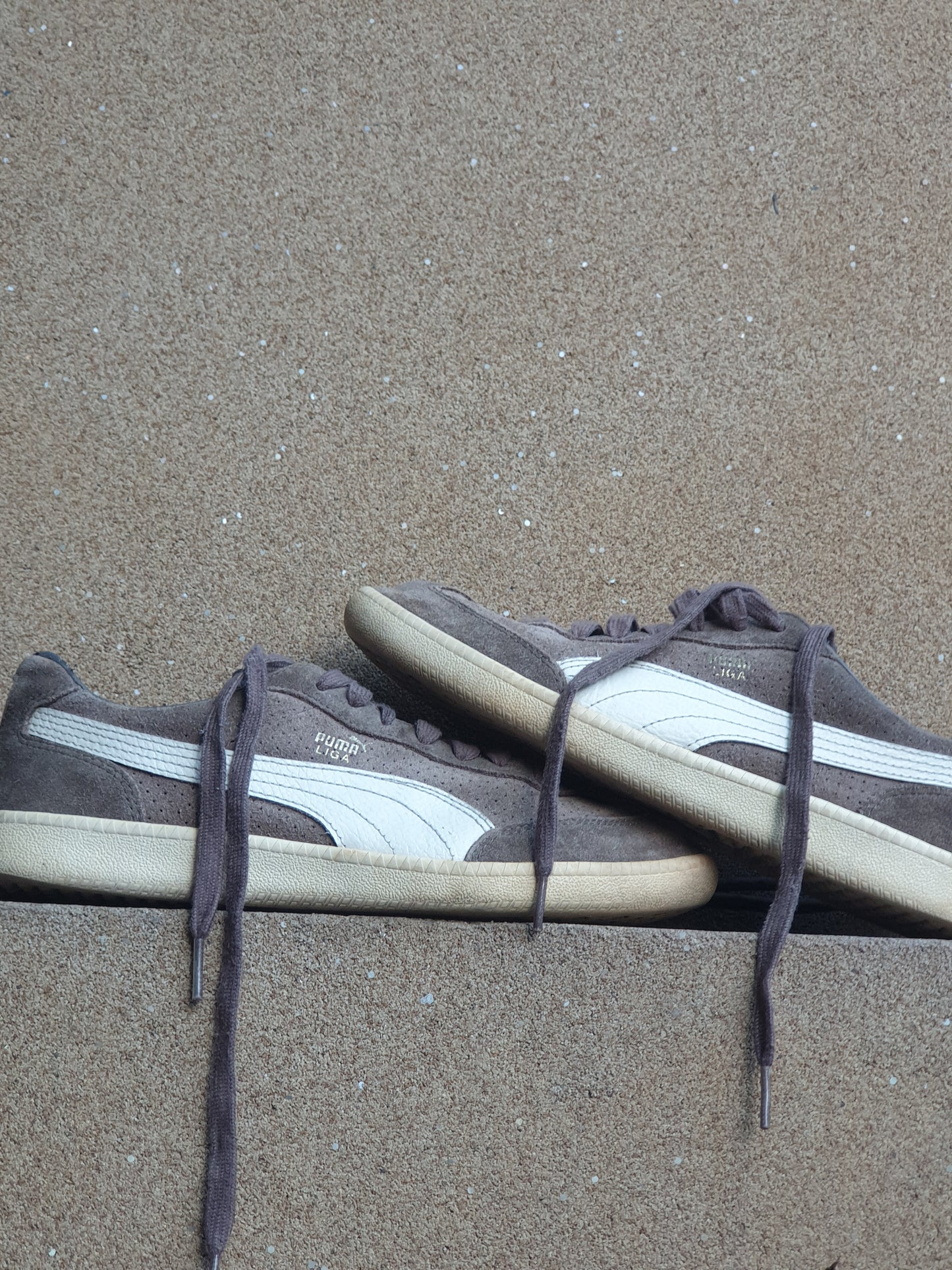 PUMA LIGA π (PK 7)