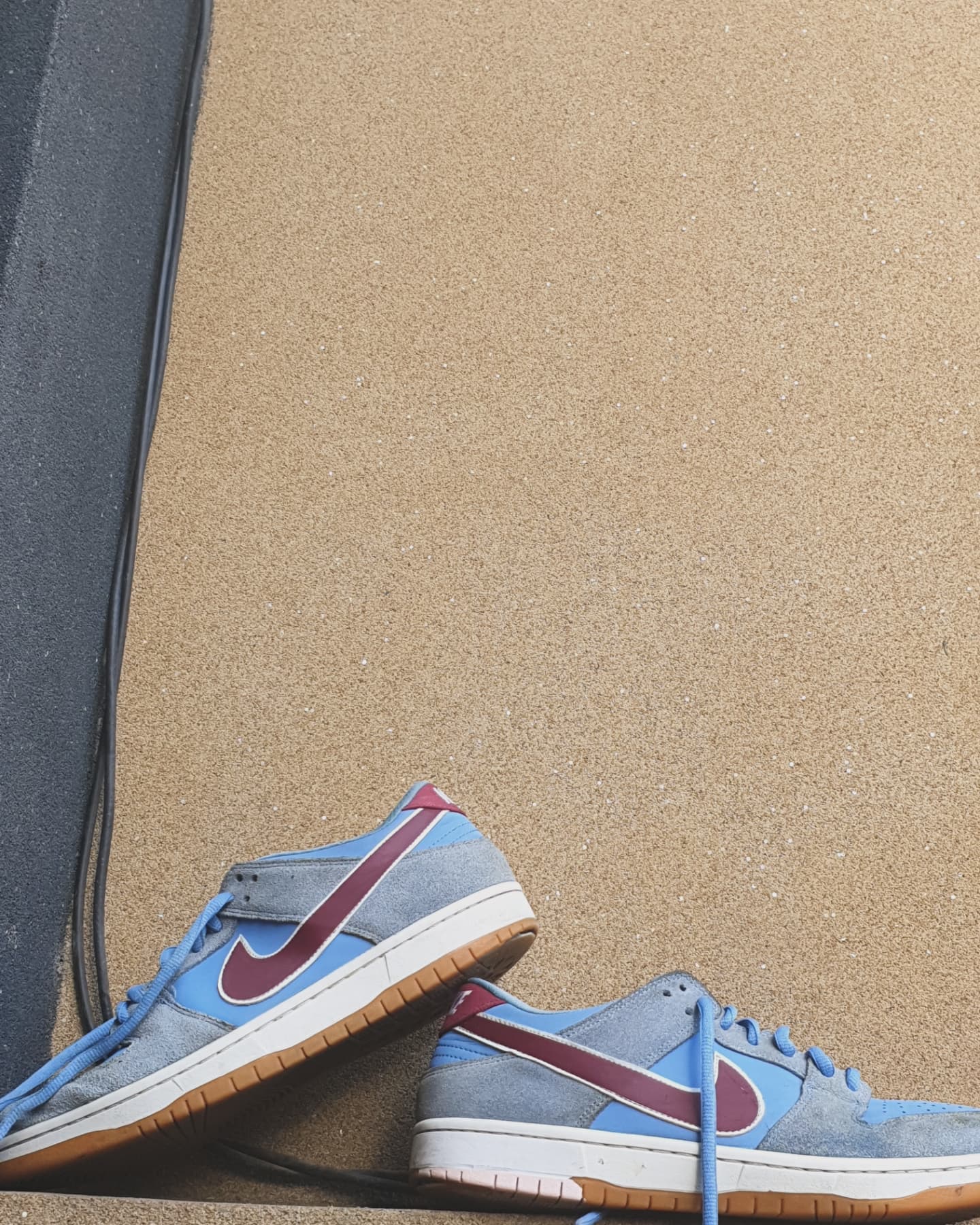 NIKE SB DUNK LOW VALOUR BLUE (PK 10)
