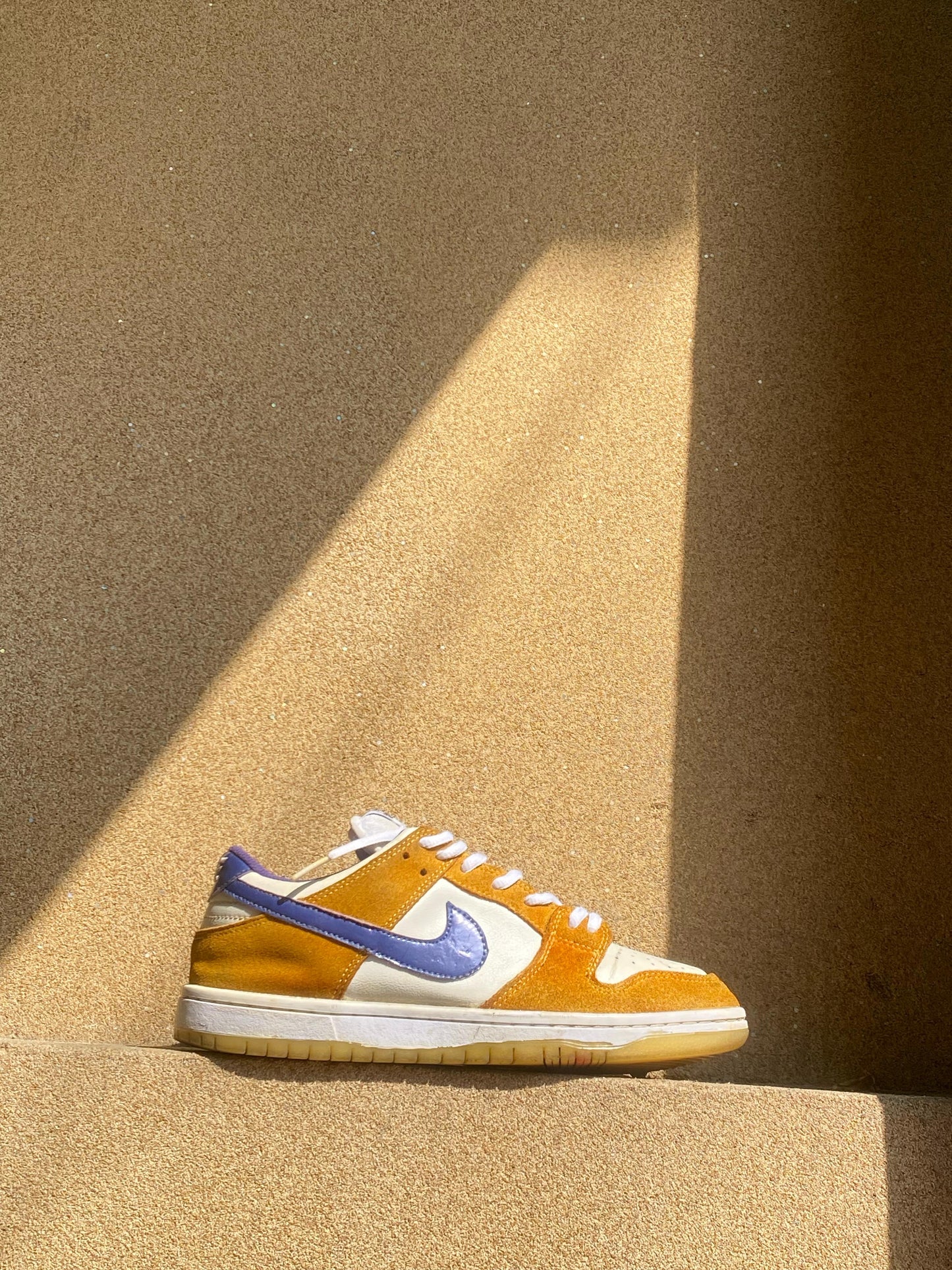 NIKE DUNK LOW PRO