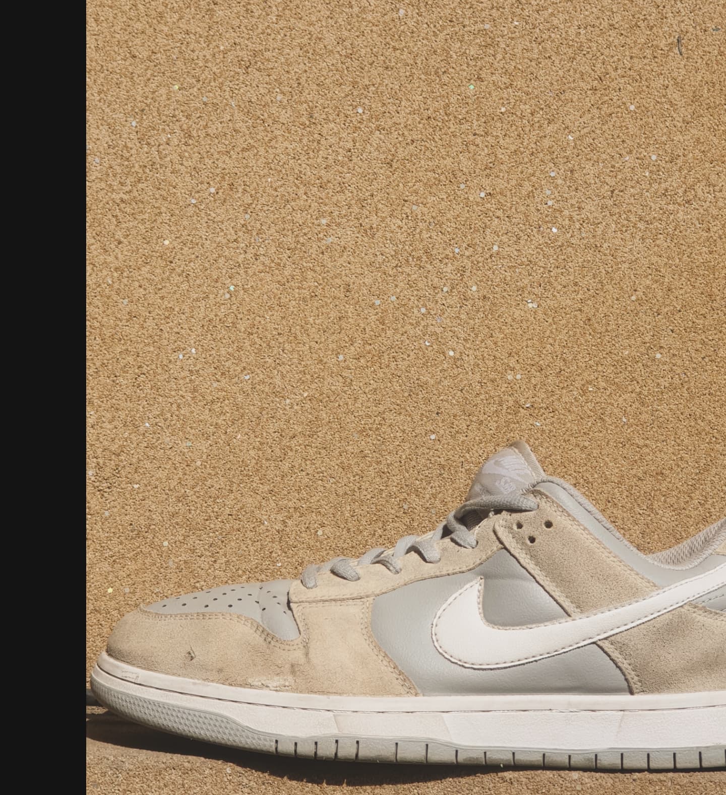 NIKE DUNK LOW PRO SUMMIT WHITE π¦