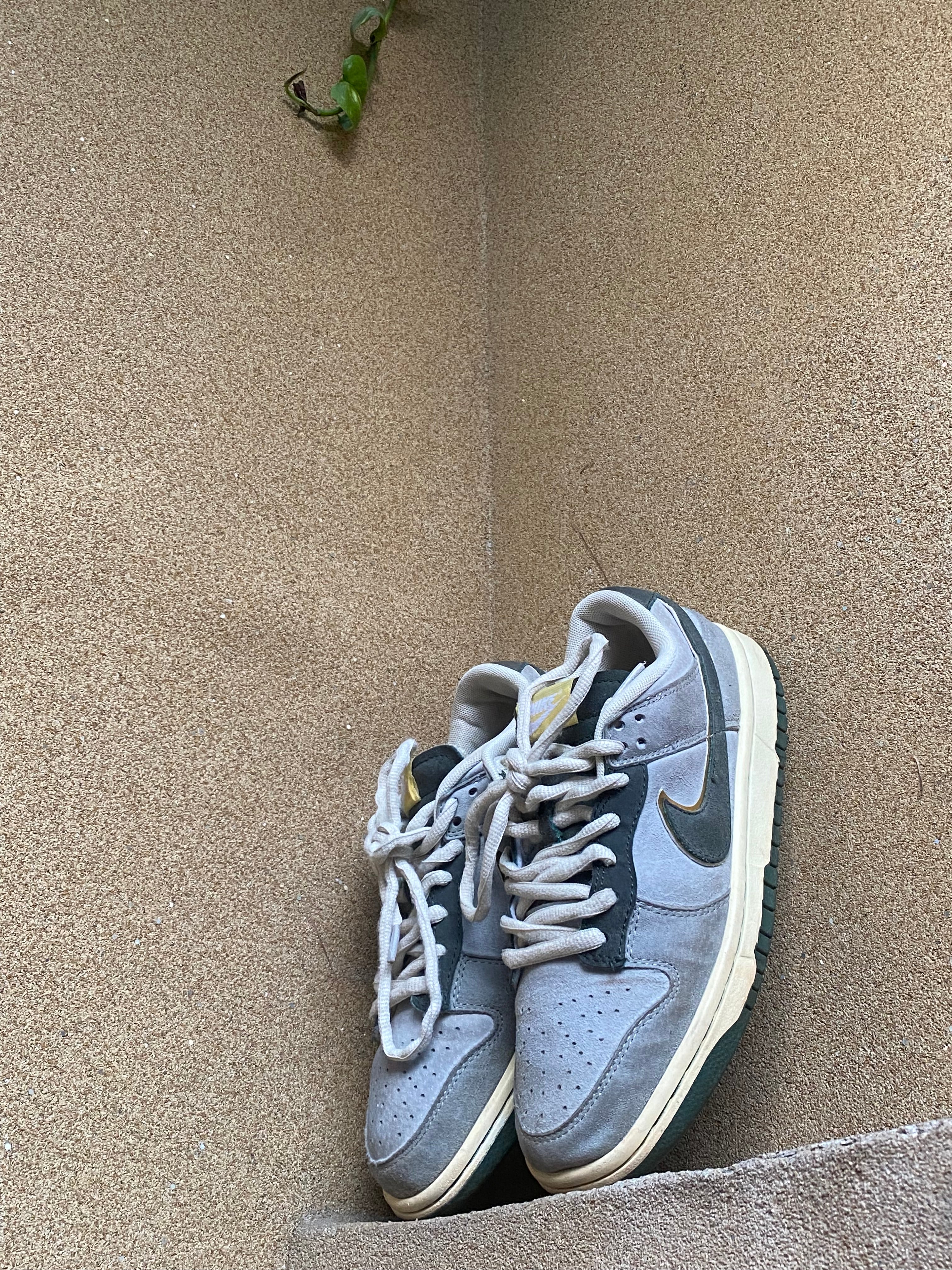 NIKE SB DUNK LOW PRO ALUMINIUM 🔮