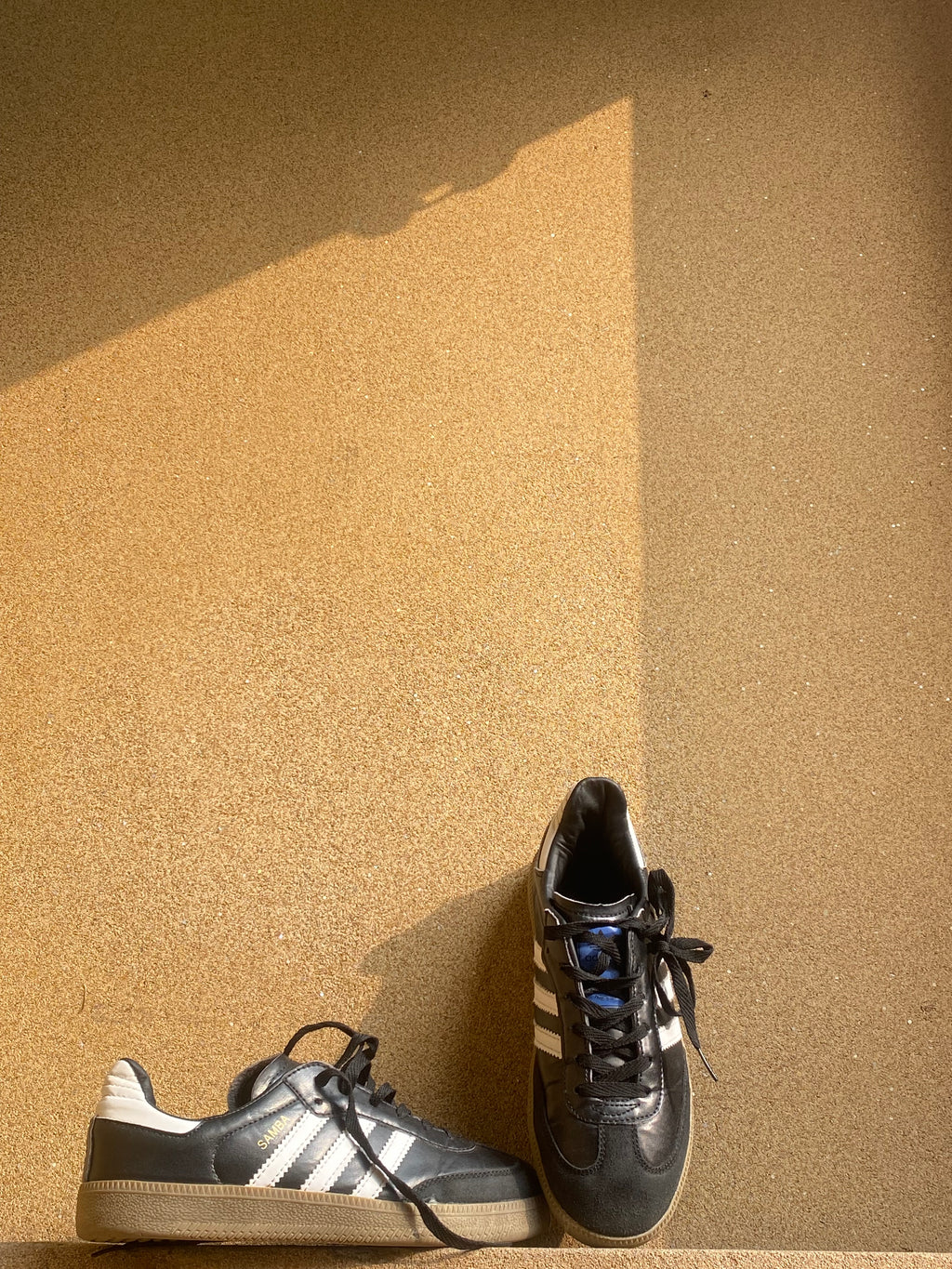 ADIDAS BLACK SAMBA 🦁