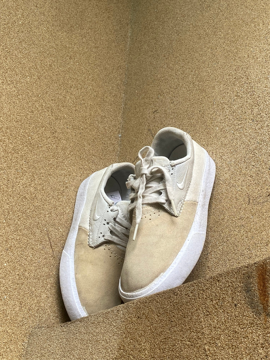 NIKE DUNK LOW SP CREAMIC 🍇