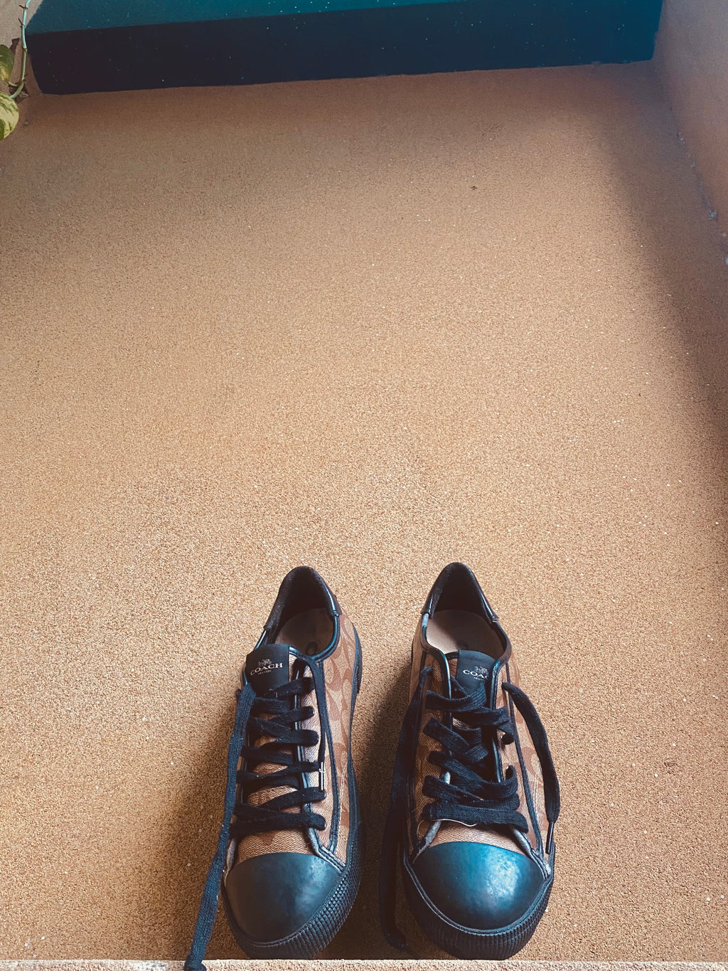 COACH LOW TOP SNEAKERS 🐎