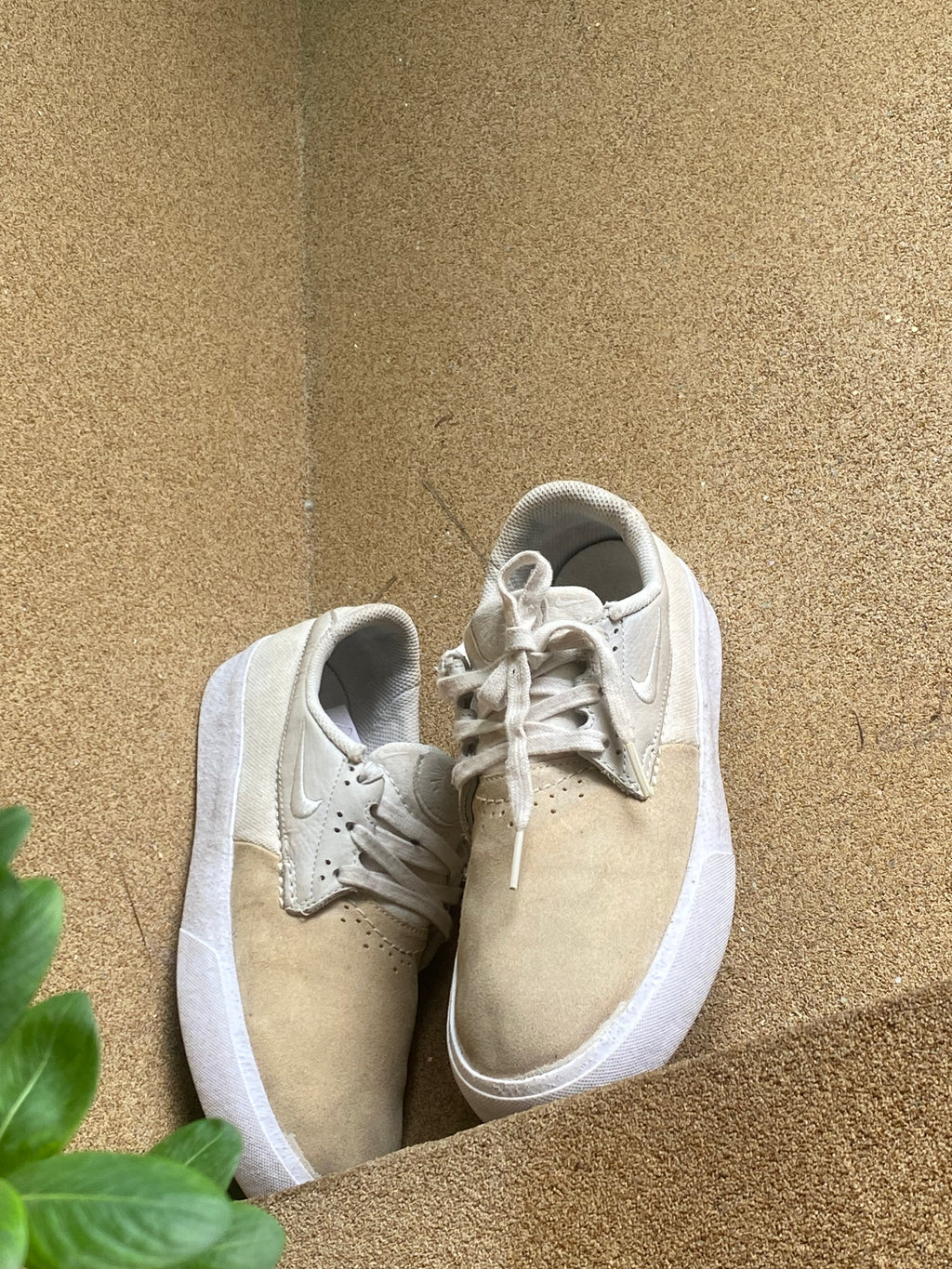 NIKE DUNK LOW SP CREAMIC 🍇