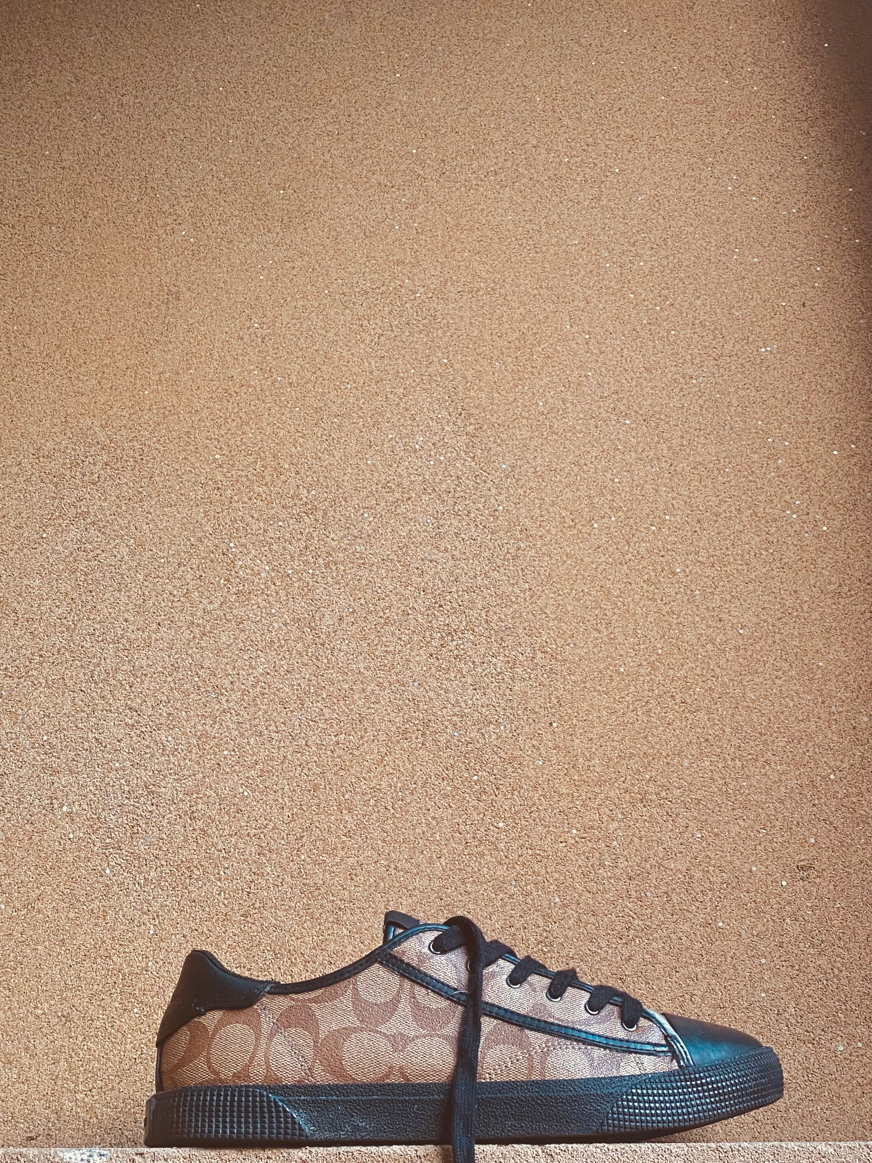 COACH LOW TOP SNEAKERS 🐎