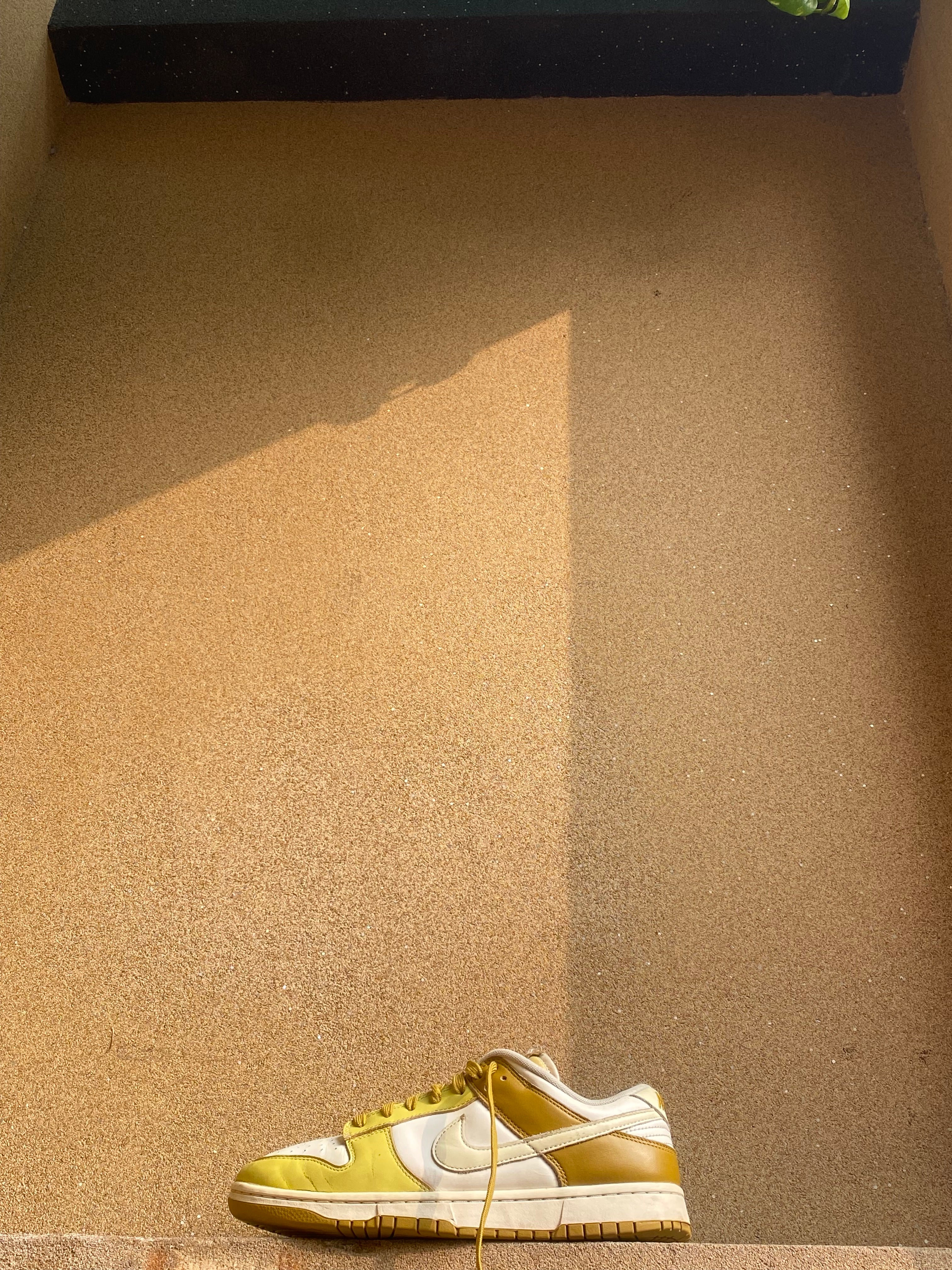 NIKE DUNK LOW RETRO BRONZINE 🌻