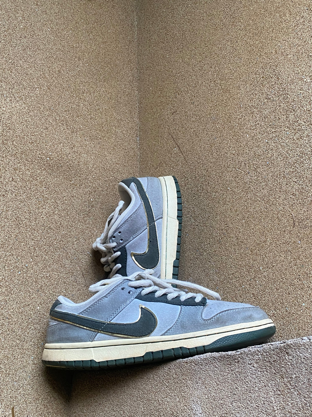 NIKE SB DUNK LOW PRO ALUMINIUM 🔮