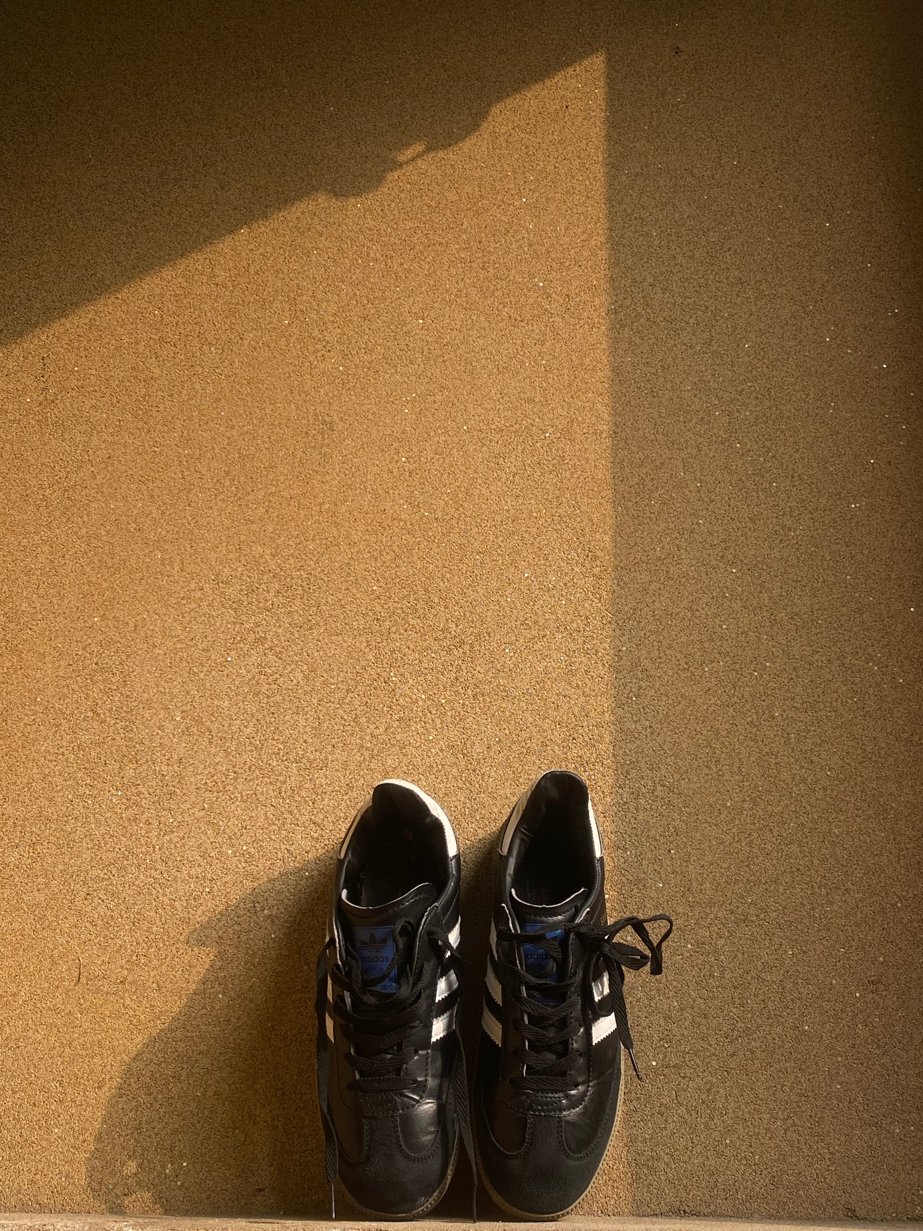 ADIDAS BLACK SAMBA 🦁