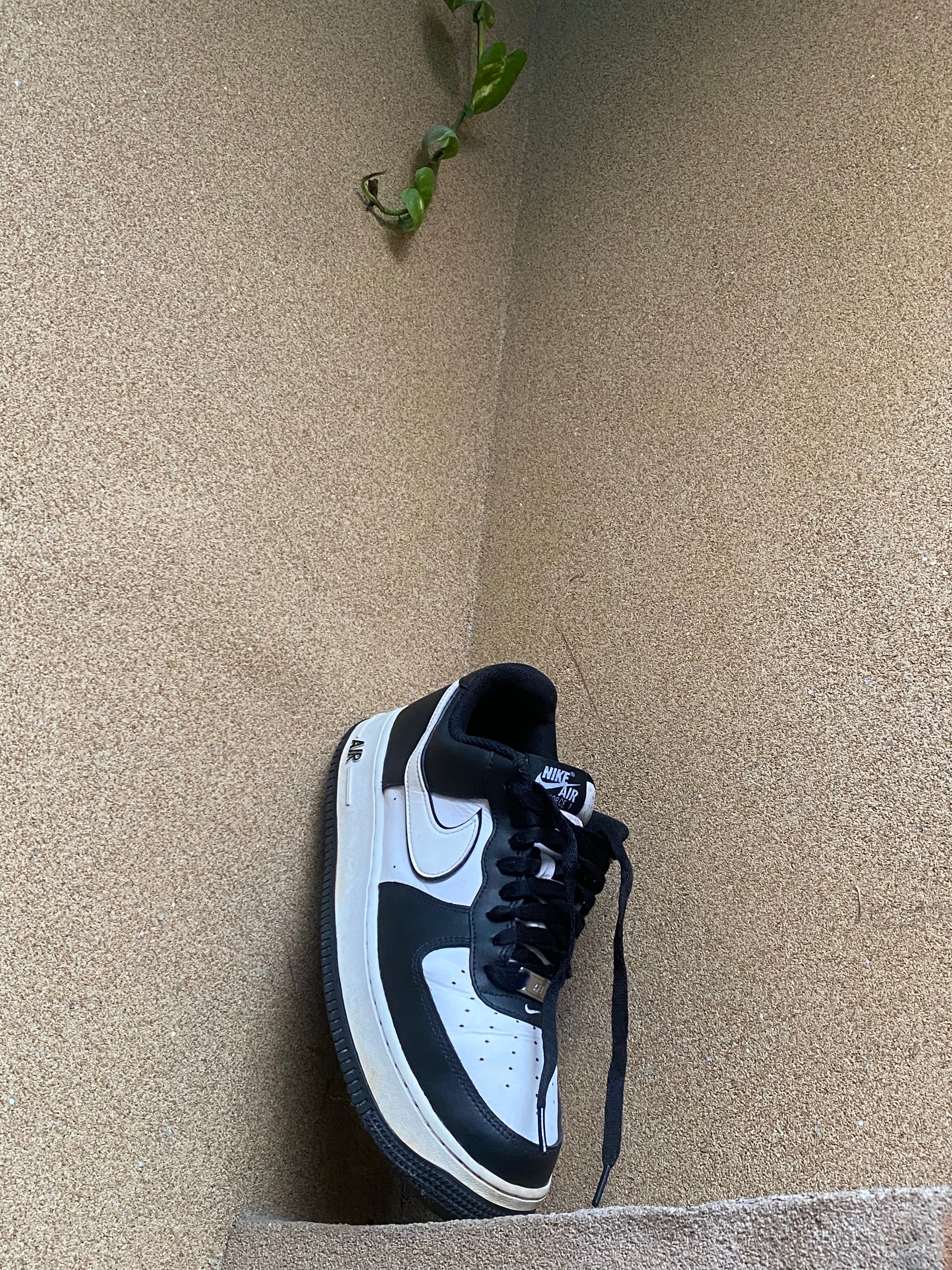 NIKE AIR FORCE 1 BLACK / WHITE 🥶