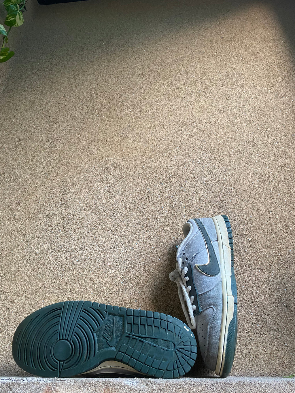 NIKE SB DUNK LOW PRO ALUMINIUM 🔮