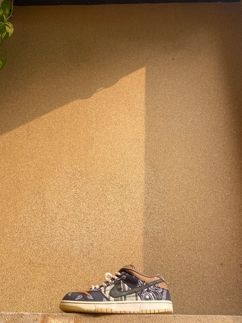 NIKE SB DUNK LOW TRAVIS SCOTT 🥶