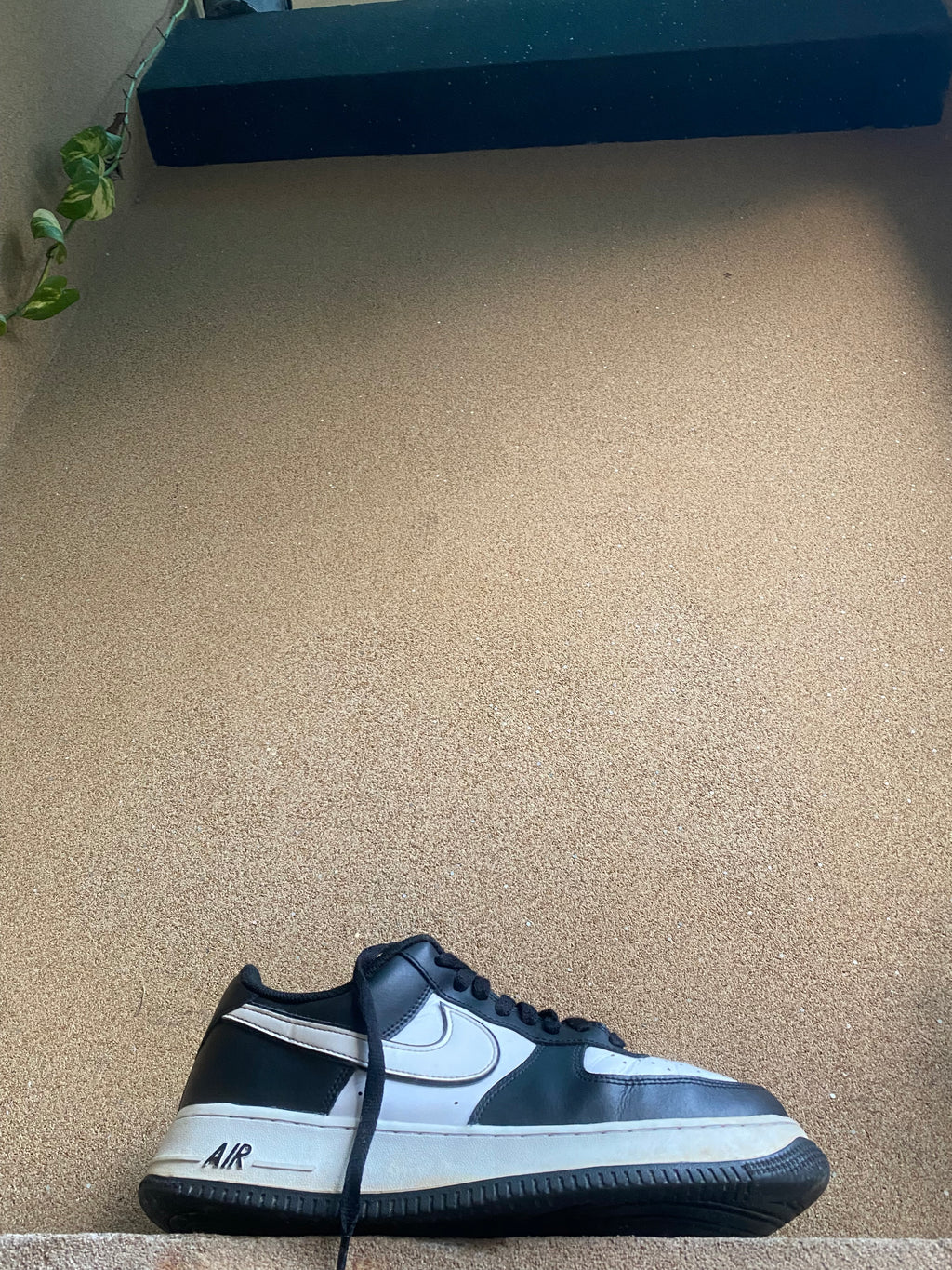 NIKE AIR FORCE 1 BLACK / WHITE 🥶