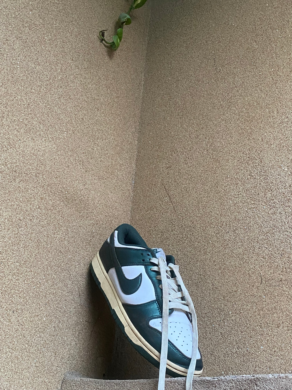 NIKE DUNK LOW PINE GREEN💚