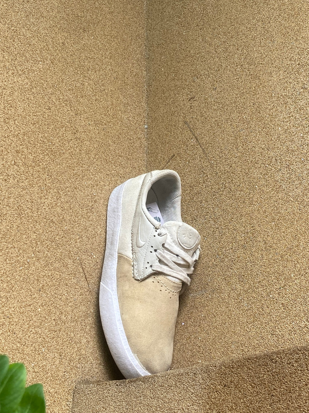 NIKE DUNK LOW SP CREAMIC 🍇