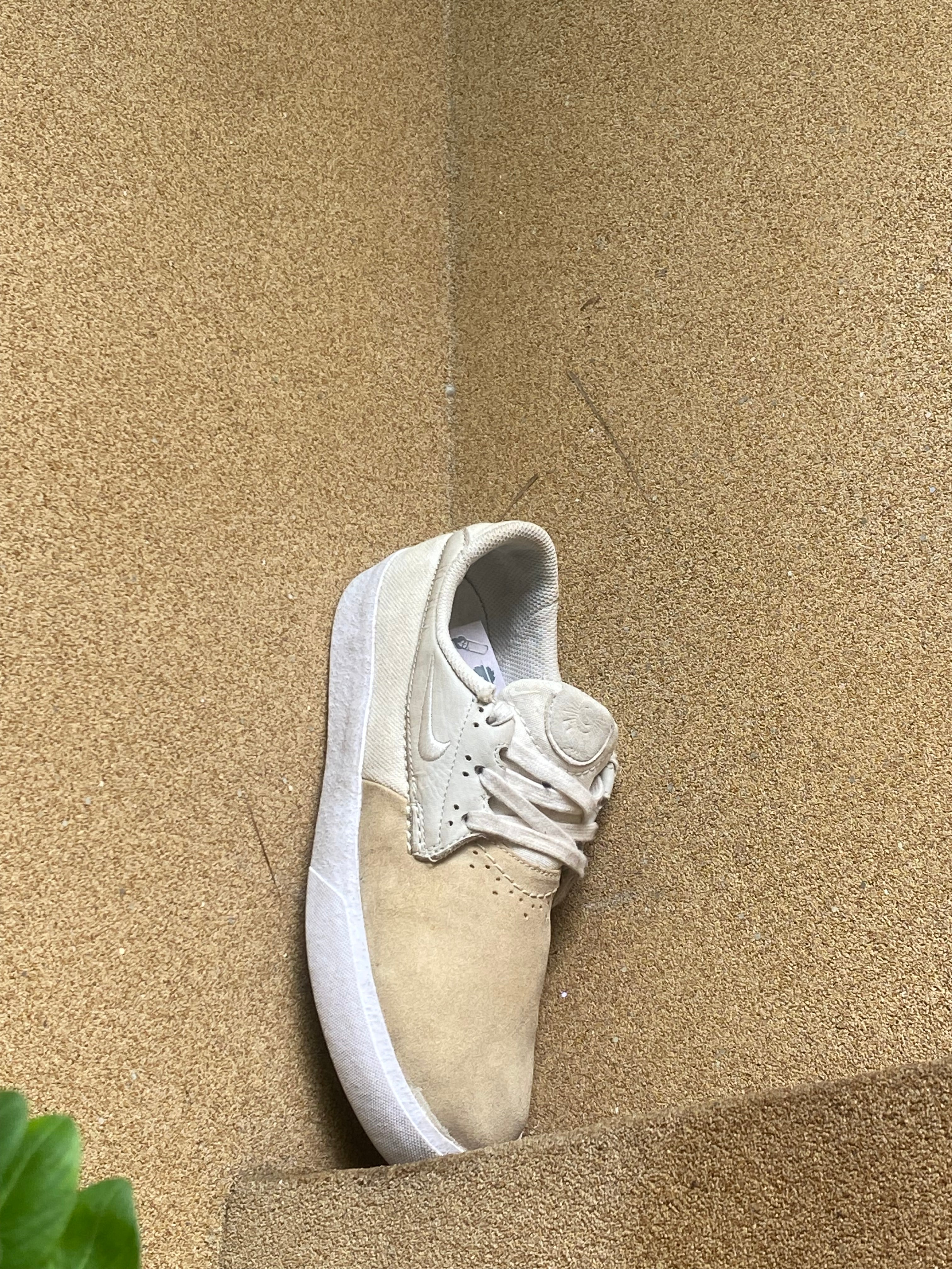 NIKE DUNK LOW SP CREAMIC 🍇