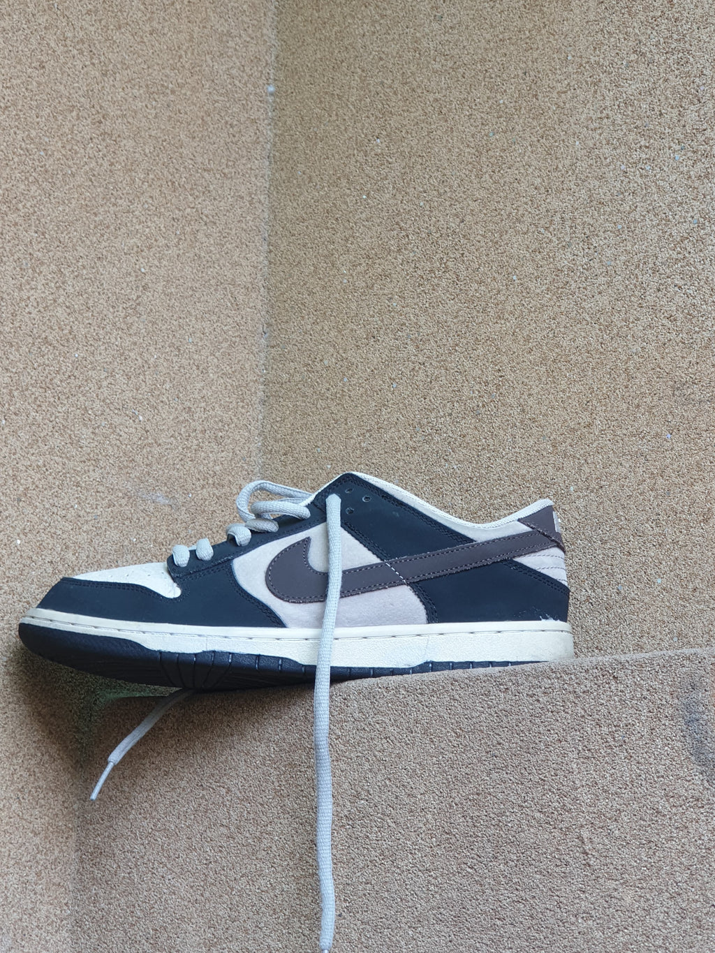 NIKE DUNK LOW OTOMO 🌻