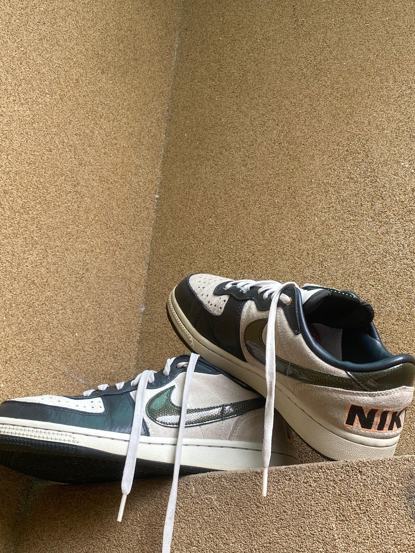 NIKE TERMINATOR DUNK LOW OG 🤖 PK 7 8