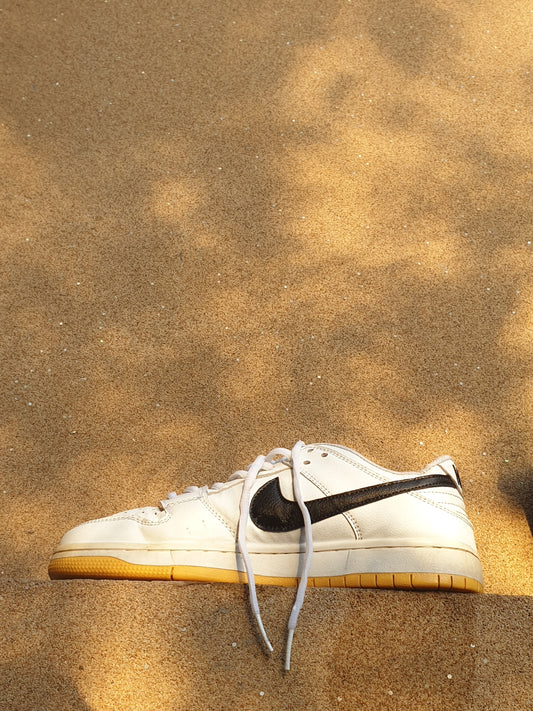 NIKE DUNK LOW PRO