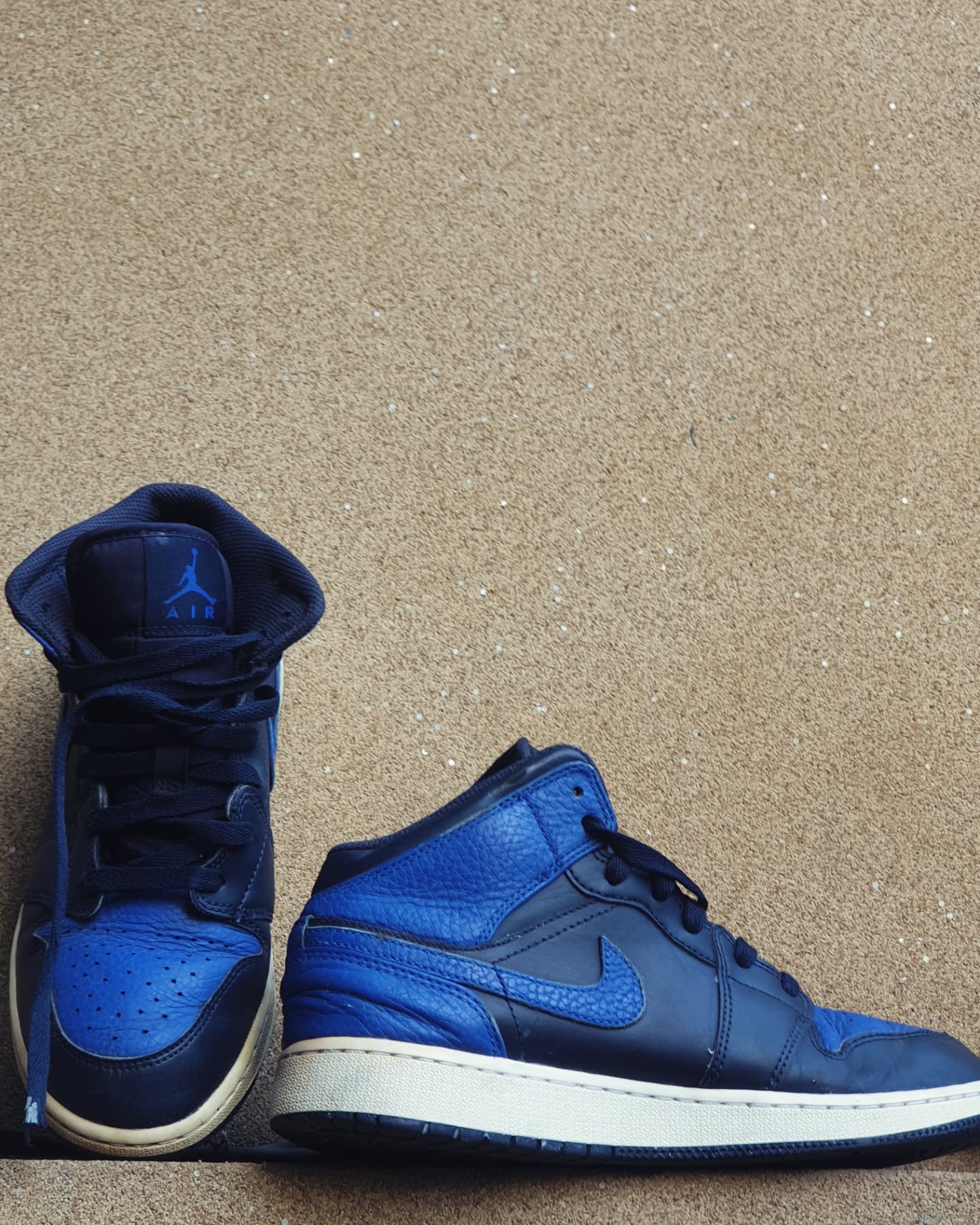 NIKE JORDAN 1 OBSIDIAN ROYAL 🦈