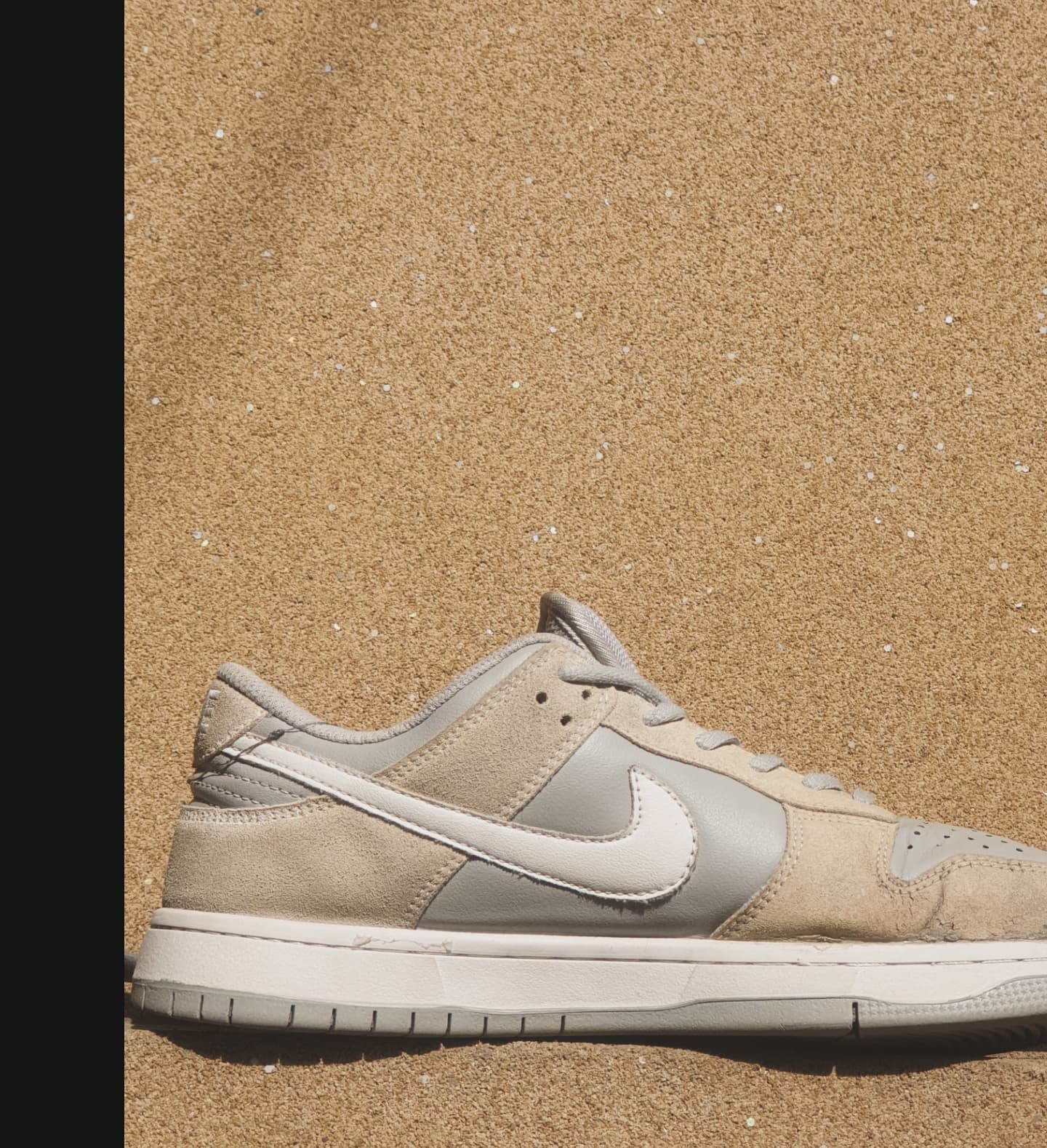 NIKE DUNK LOW PRO SUMMIT WHITE 🦈