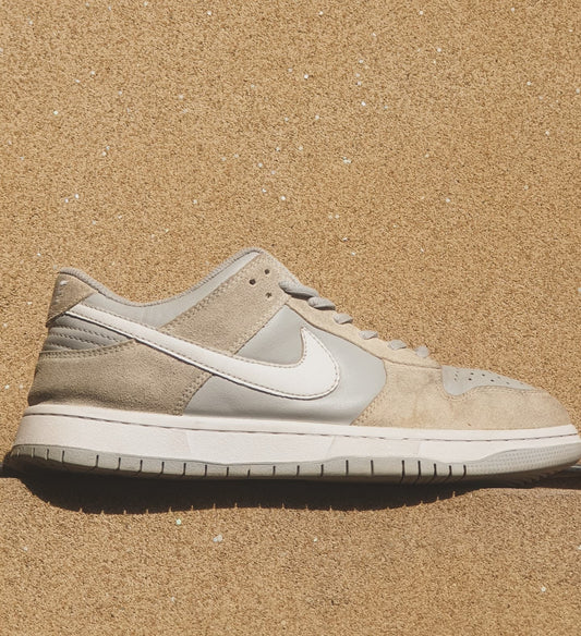 NIKE DUNK LOW PRO SUMMIT WHITE 🦈