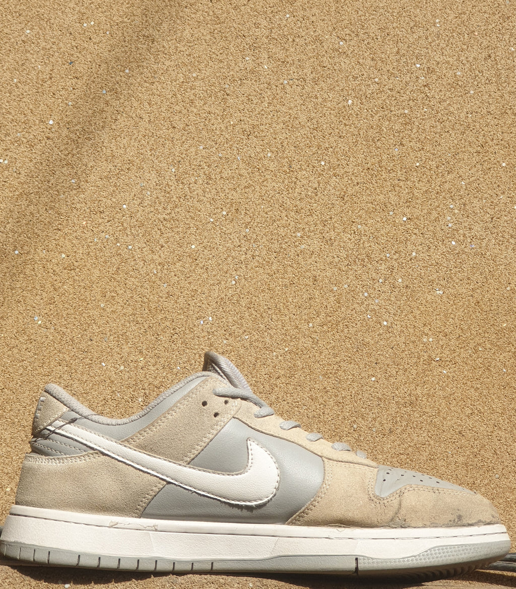 NIKE DUNK LOW PRO SUMMIT WHITE 🦈