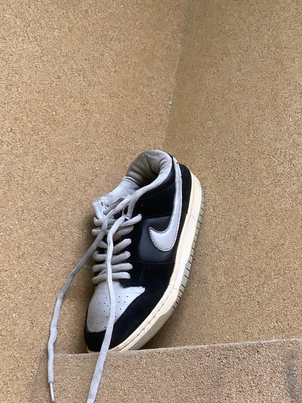 NIKE SB DUNK ZOOM LOW PRO BLACK WOLF