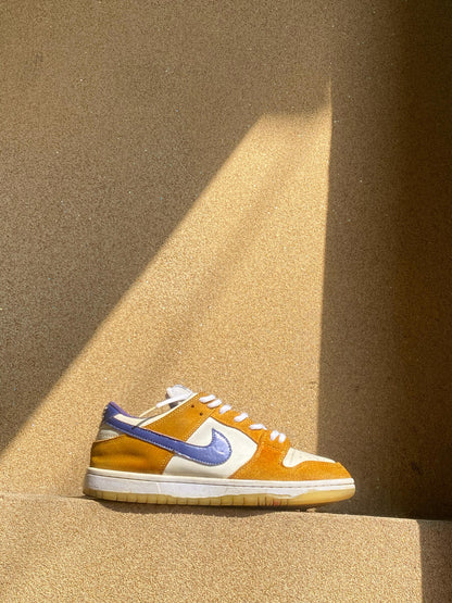 NIKE DUNK LOW PRO